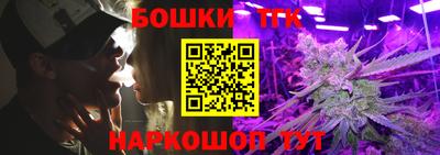 a pvp Камышлов