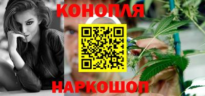 a pvp Камышлов