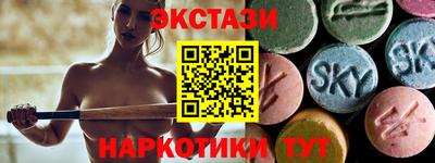 a pvp Камышлов
