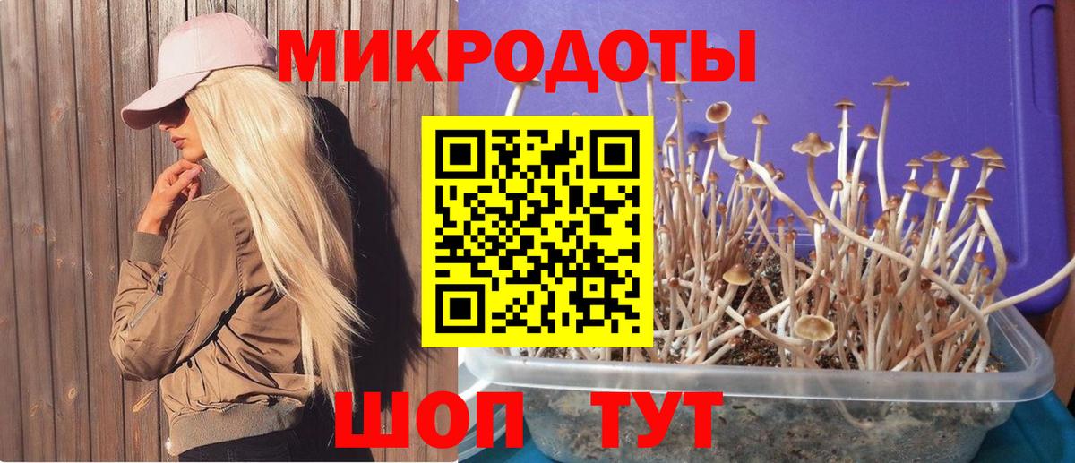 Галлюциногенные грибы GOLDEN TEACHER Лесной