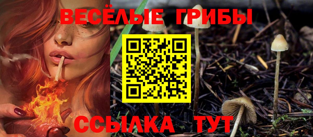 Псилоцибиновые грибы GOLDEN TEACHER  Вход с VPN  Лесной 